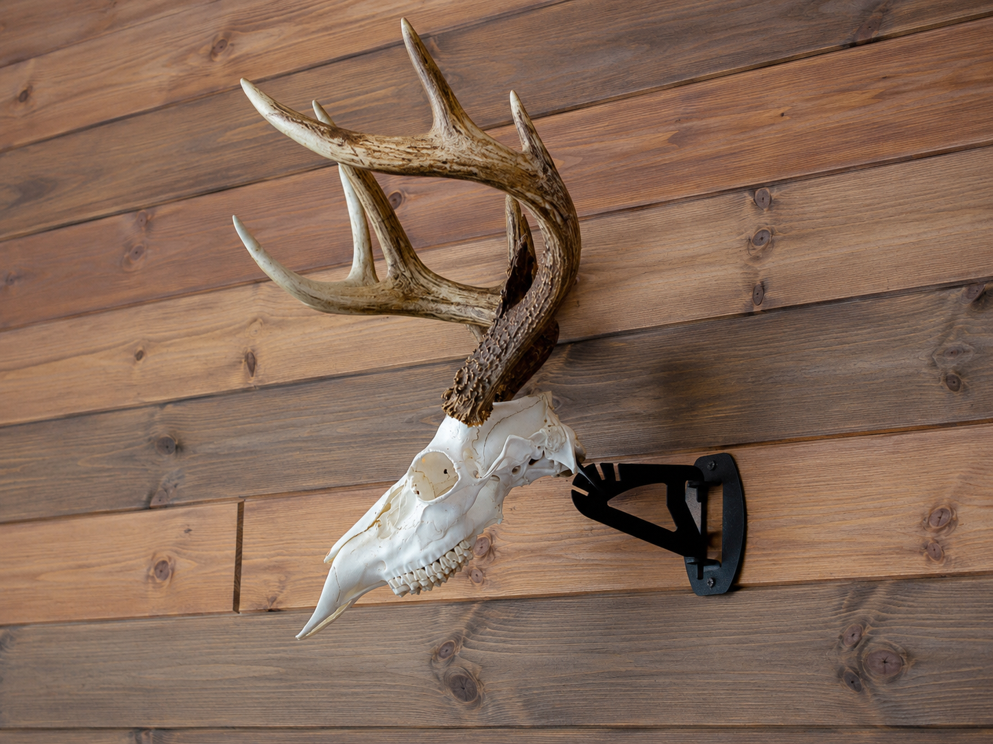 Skull Hanger