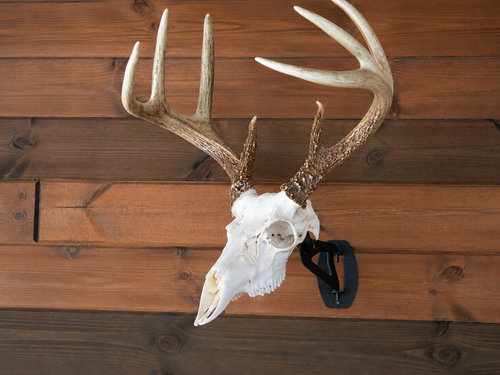 Skull Hanger