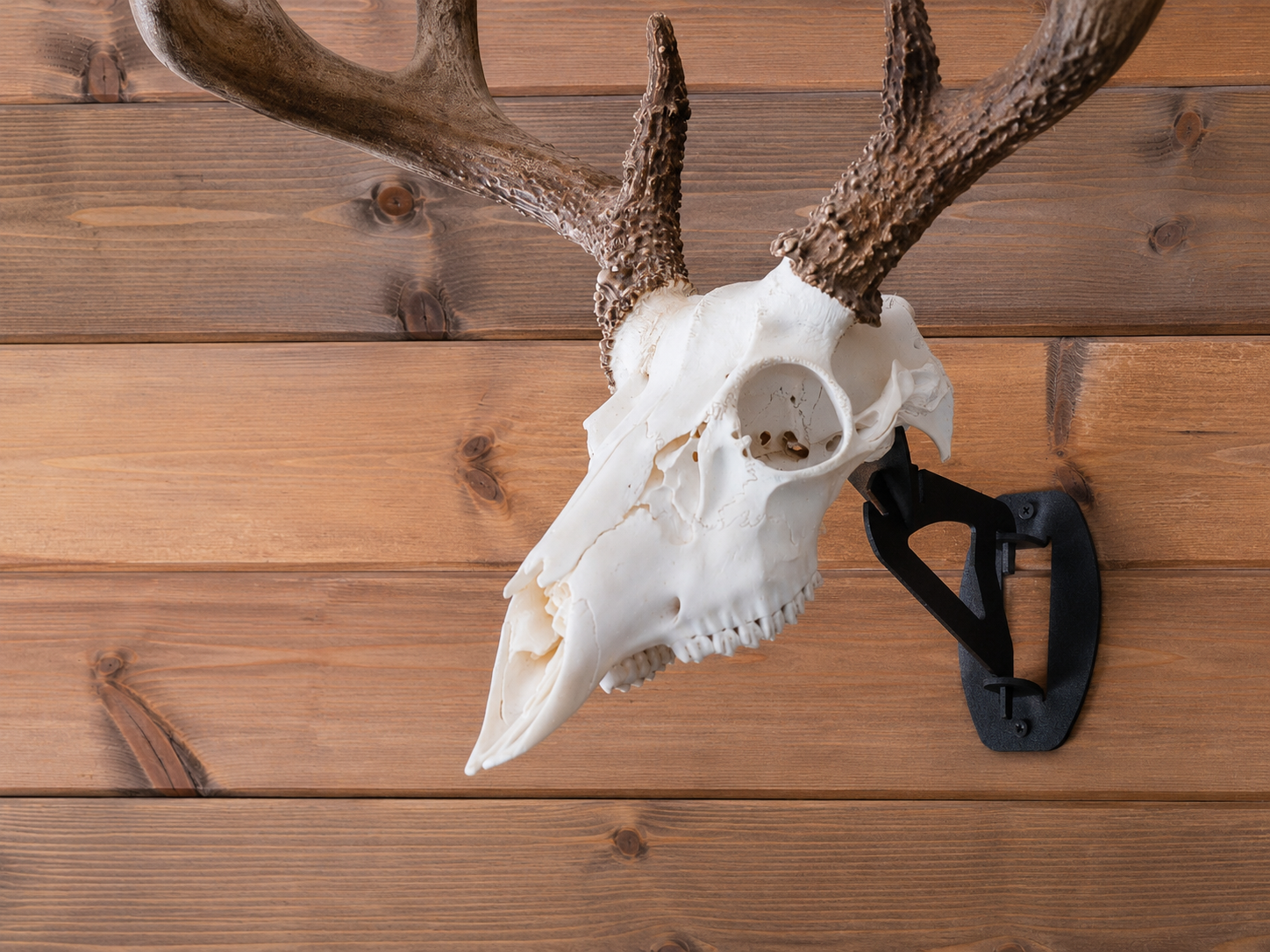 Skull Hanger