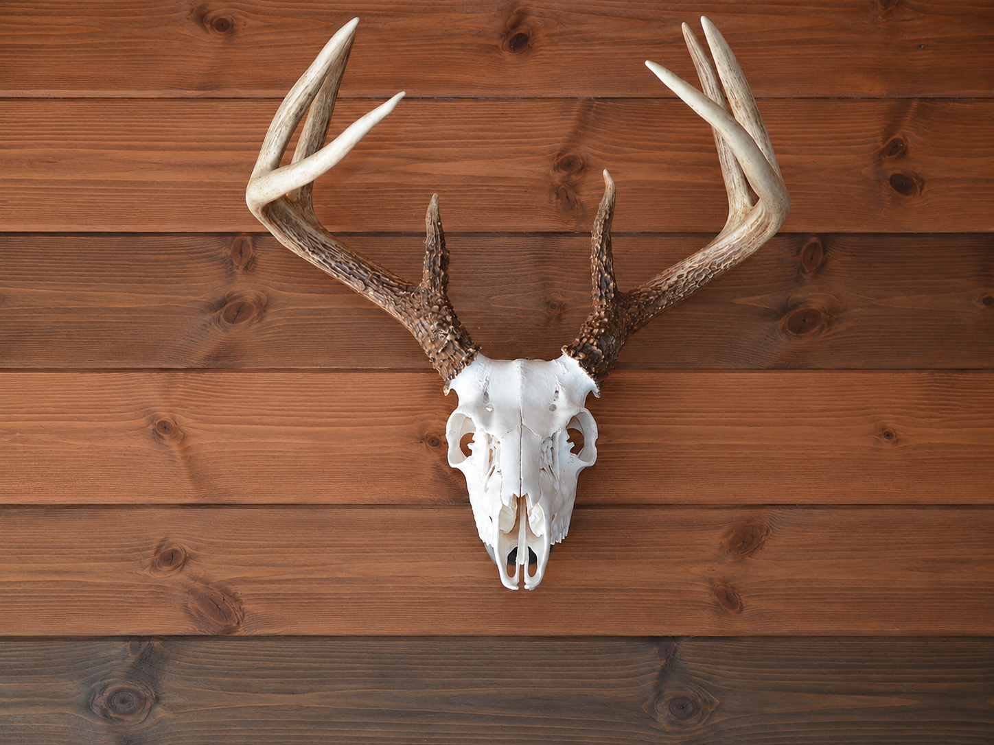 Skull Hanger