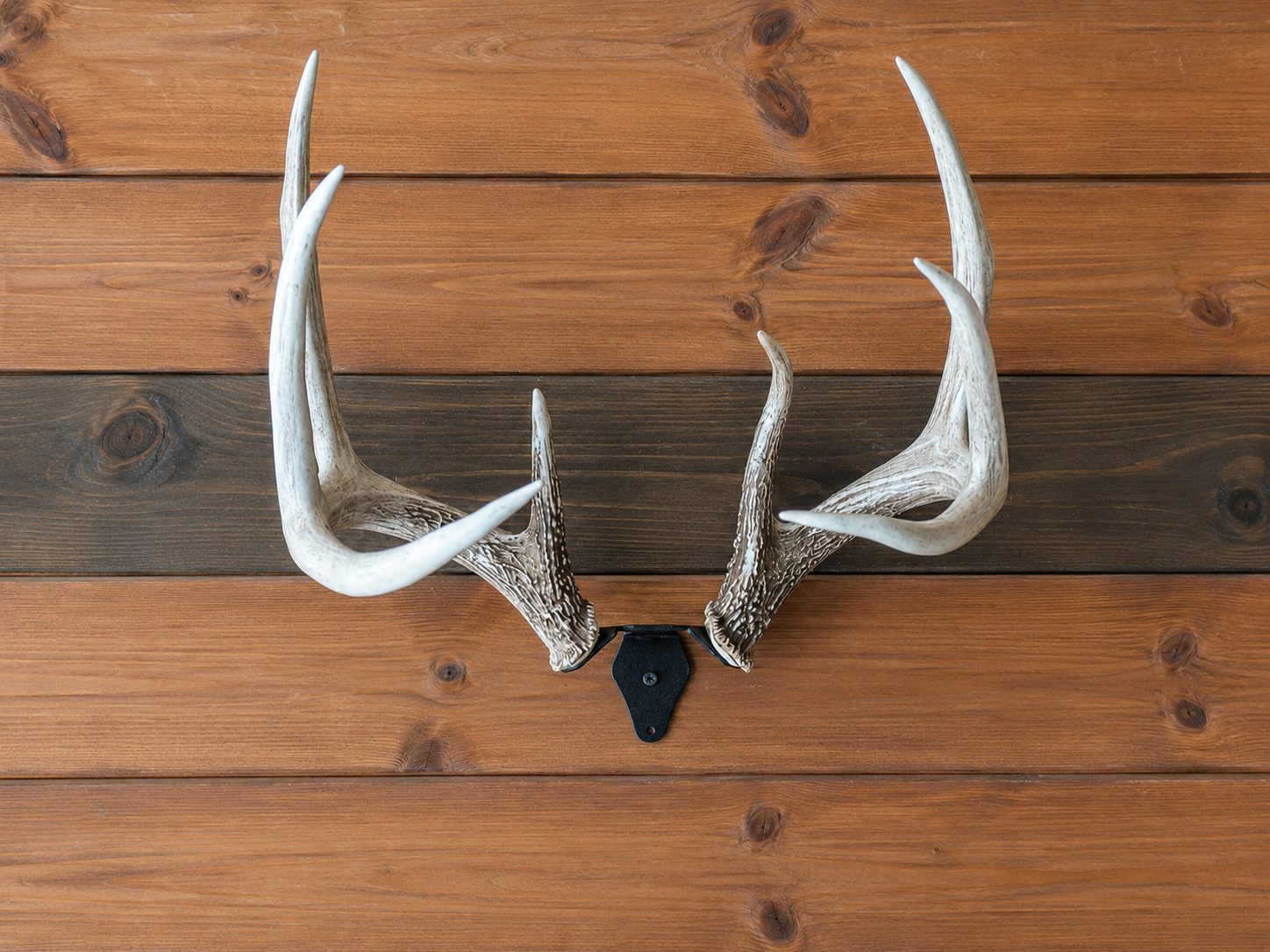 Display Every Shed the Right Way